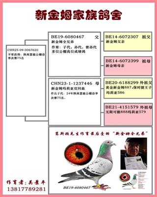 Ѫ�y(t��ng)��