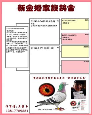 Ѫ�y(t��ng)��