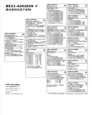 Ѫ�y(t��ng)��