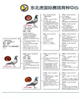 Ѫ�y(t��ng)��