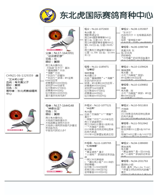 Ѫ�y(t��ng)��(sh��)