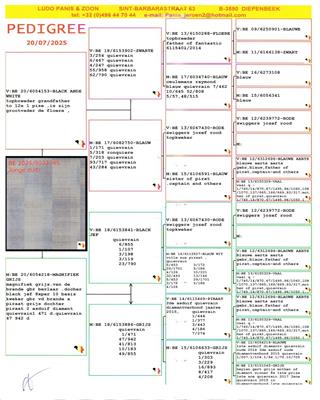 Ѫ�y(t��ng)��