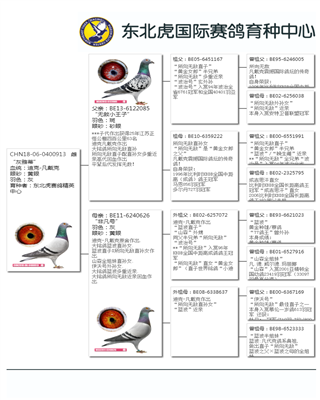 Ѫ�y(t��ng)��