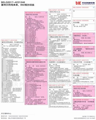 Ѫ�y(t��ng)��