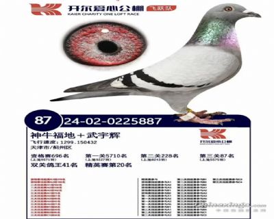 �������Ĺ����Ծ��87��