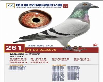 ��ɽ����������261��