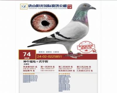 ��ɽ��������վ��74��