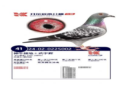 �������Ĺ�������վ��41��