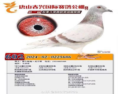 ���˾���602��