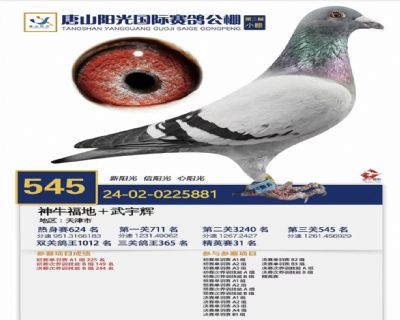 ��ɽ�������545��