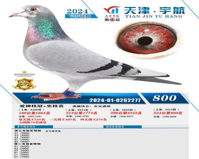 �����800��