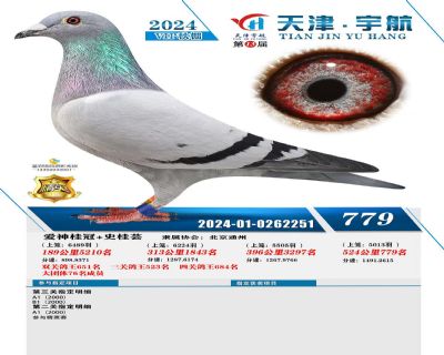 �����779��