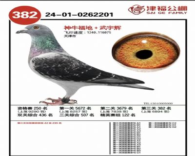 �򸣹���382��