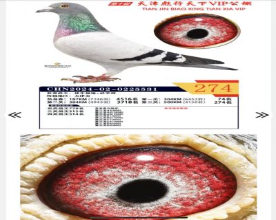 �������¹���274��