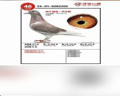 �򸣼�վ��46��