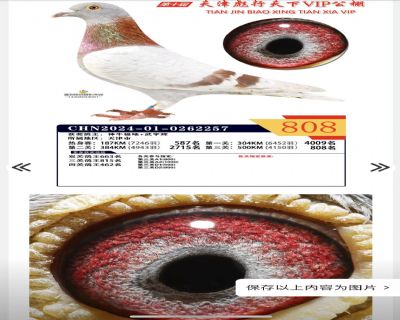 ��������808��