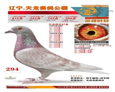 �����������빫��294��