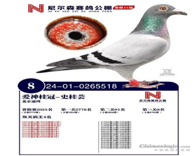 ���ɭ�������8��