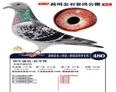 ���ݽ�����480��