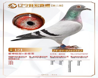 ���괺�����121��