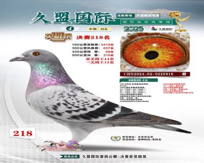 ���˹��ʾ���218��