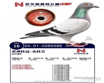 ���ɭ�����վ��16��