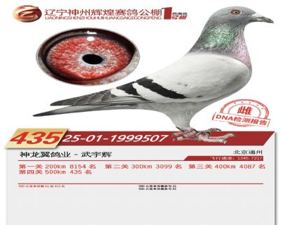 ����1��435��