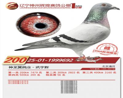 ����1��200��