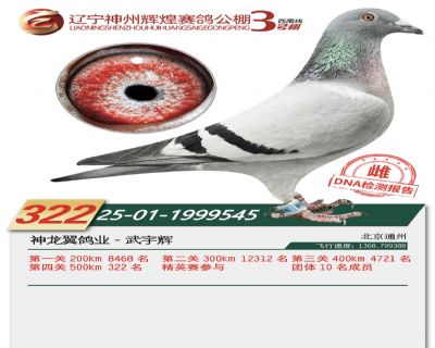 ����3��322��