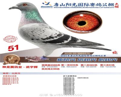 ����51��