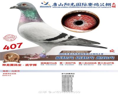 ����407��