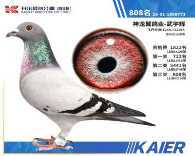 ����808��