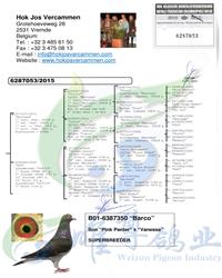 ĸ�ס�Ұ��Ů�ɡ�Ѫͳ