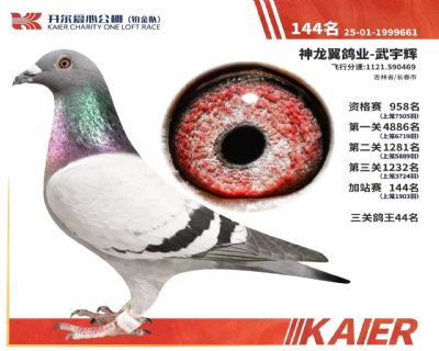 ����144��