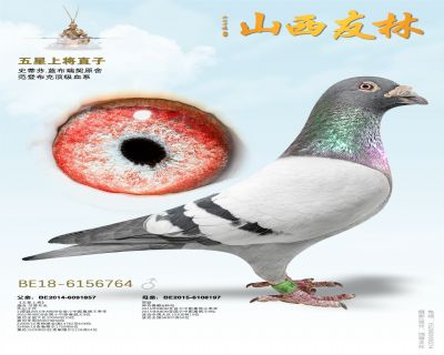 ���ǲ��ˡ������Ͻ���ֱ��