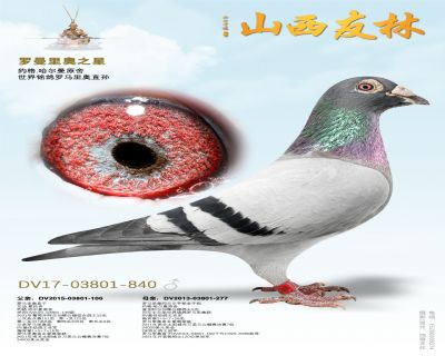 ���������֮�ǡ�