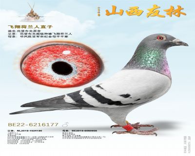 ���ǲ��ˡ���������ˡ�ֱ��