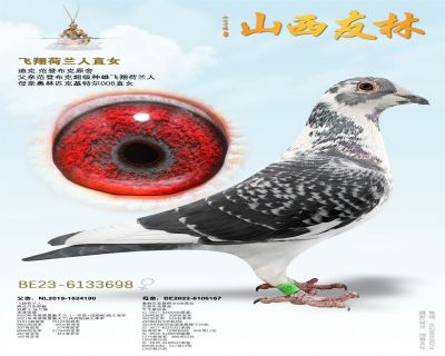 ���ǲ��ˡ���������ˡ�ֱŮ