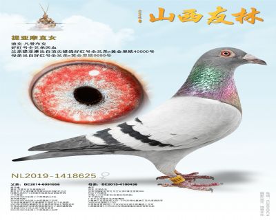 ���ǲ��ˡ�����Ħ��ֱŮ