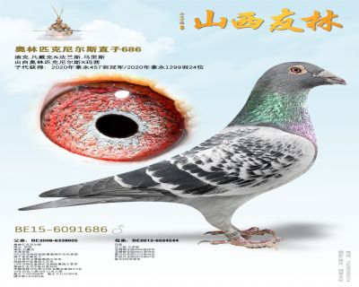 ����ƥ�����˹ֱ��686