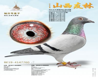 �����պ�ֱ�ӡ�