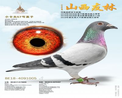 С����57��ֱ��