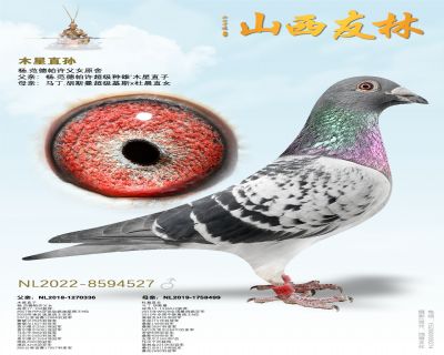 �������ۡ�ľ��ֱ�