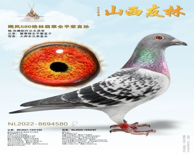 쫷�580�������ȫƽ��ֱ��