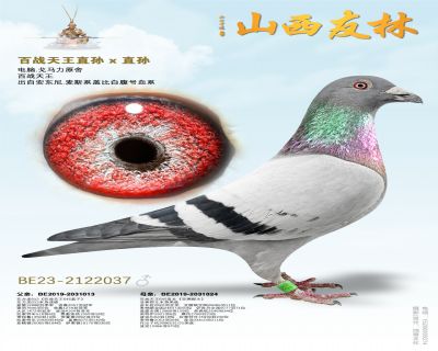 ��ս����ֱ�� x ֱ��