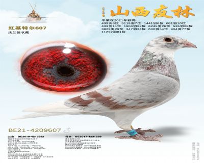 ����ض�607