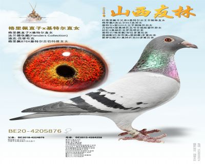 ��������ֱ��X���ض�ֱŮ��