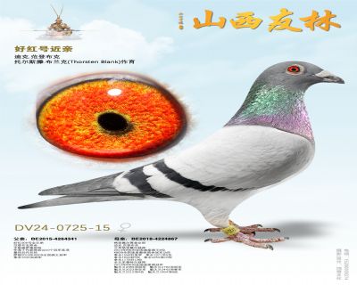 ���ǲ��ˡ��ú�š�����