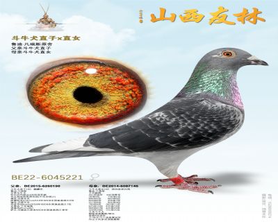 ��ţȮֱ�� x ֱŮ