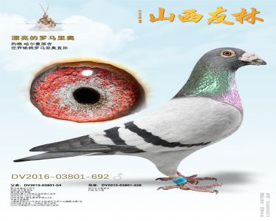 Ư���ġ�������¡�